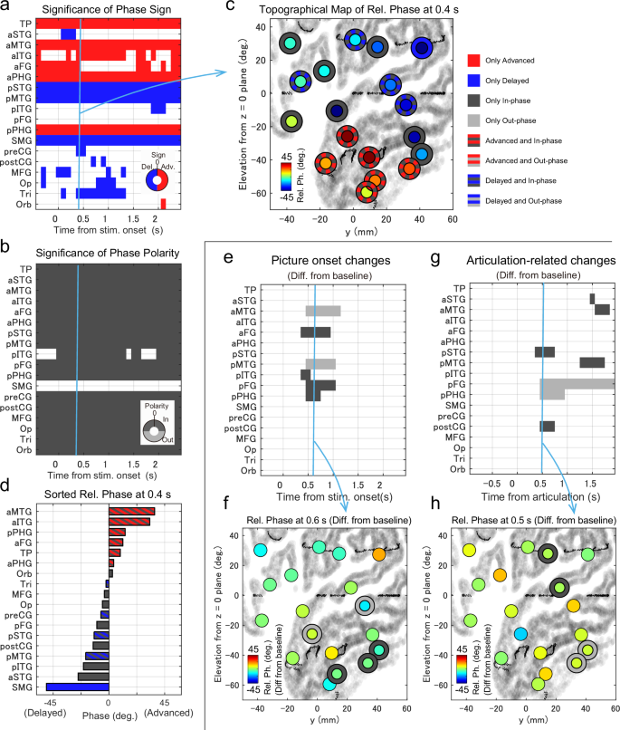 Fig. 3: Relative phases during picture naming task.