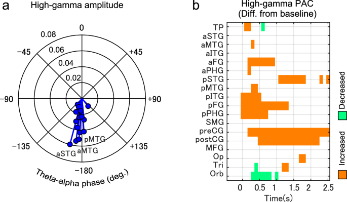 Fig. 6: Coupling of theta-alpha phase and high-gamma amplitude.