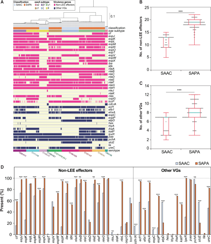 Fig. 2: Distribution of virulence factors among the LEE-positive STEC strains classified as SAAC and SAPA.