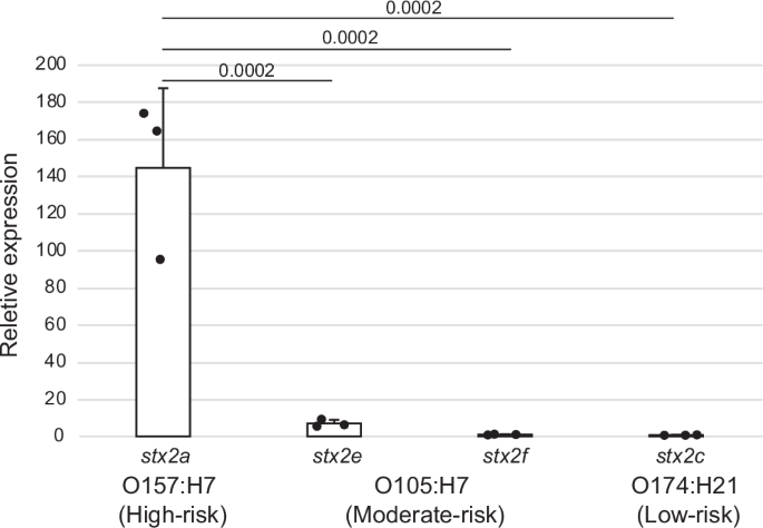 Fig. 3: Comparison of stx2 expression levels among risk groups of isolates from asymptomatic carriers.