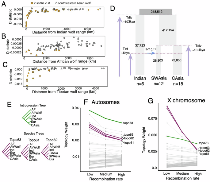 Fig. 3: Complex history of admixture within the wolves of southwest Asia.
