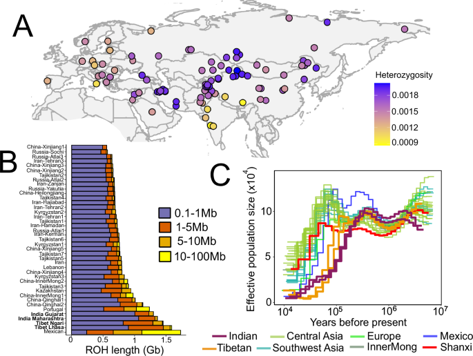 Fig. 4: Recent and long-term demographic history of wolves in Eurasia.