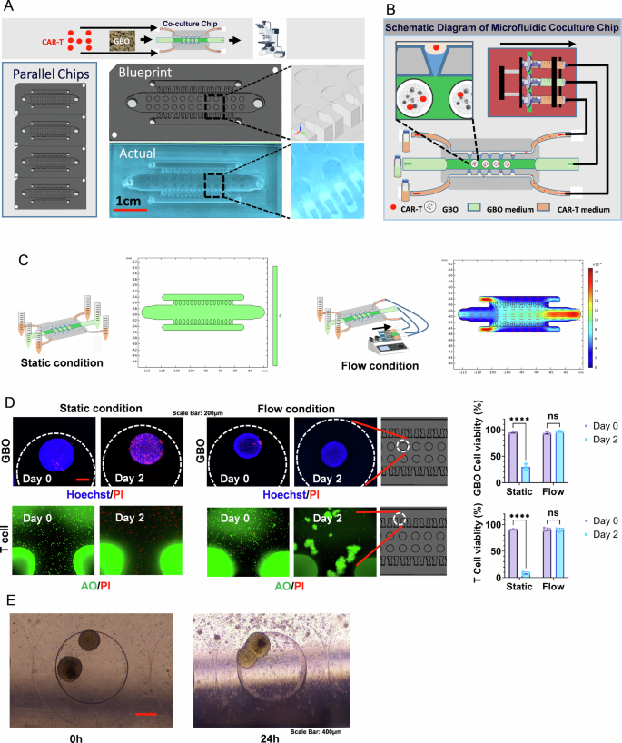 Fig. 4: Design and application of the microfluidic chip.