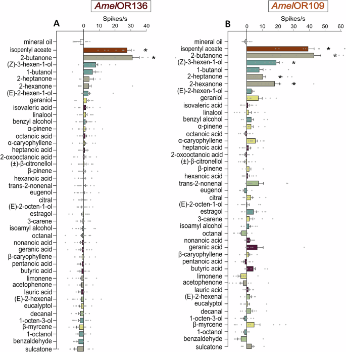 Fig. 2: Responses of AmelOR136 and AmelOR109 to 42 compounds from 6 chemical families measured using single sensillum recording.