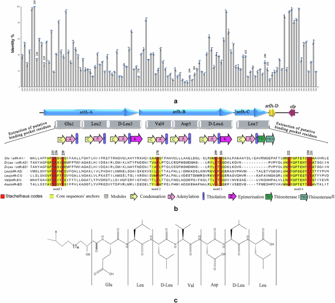 Fig. 1: Active-site analysis of A domains in srfA operon.