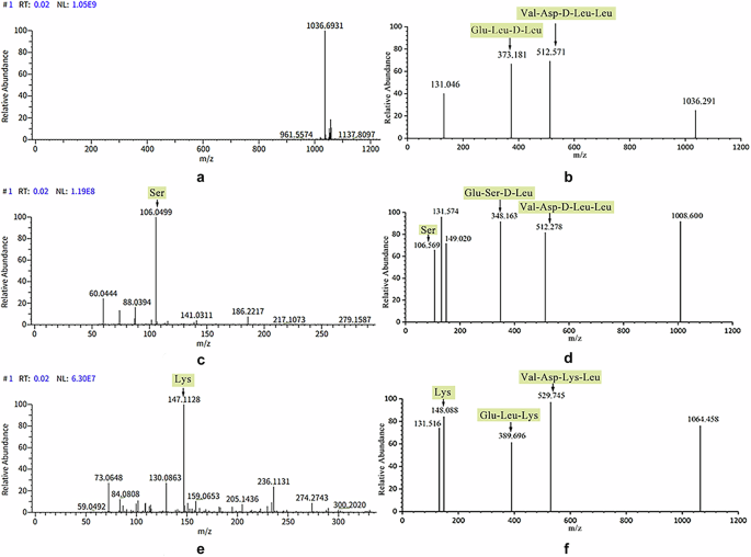 Fig. 6: Detection of surfactin homologs produced by strain WA1 and WA2 compared with that from the strain LG3145 using ultra performance liquid chromatography-mass spectrometry.