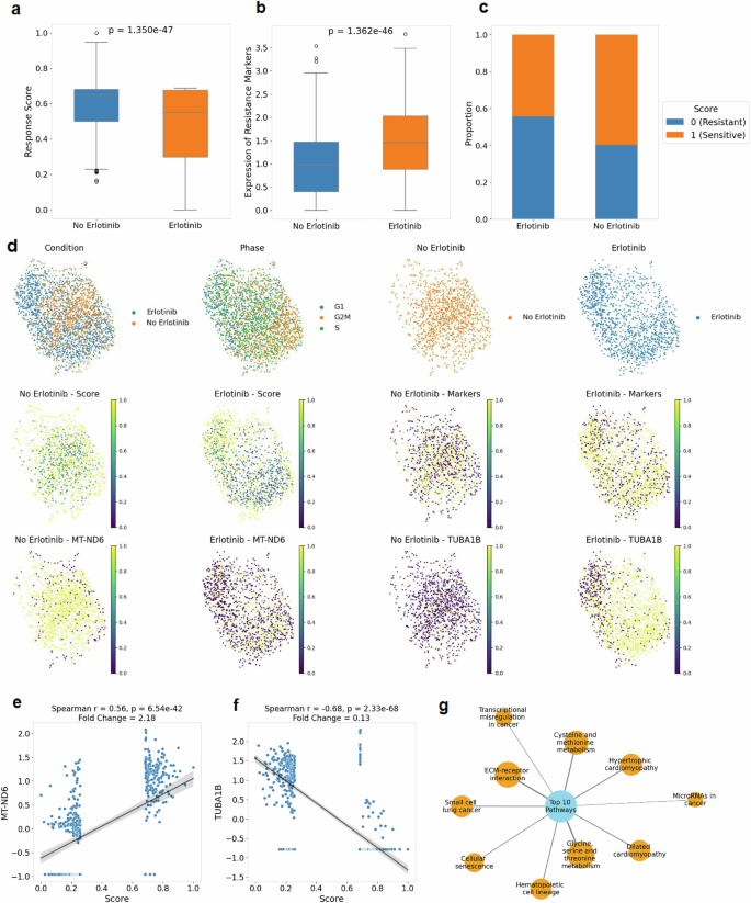 Fig. 5: Case study of non-small cell lung cancer cells under drug holiday treatment.