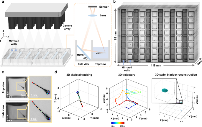 Fig. 1: High-throughput multi-camera array microscope platform for parallel 3D behavioral analysis.