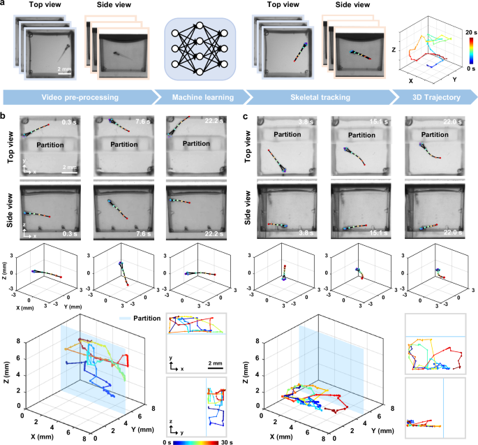 Fig. 3: Automated 3D skeletal tracking for motion trajectory analysis.