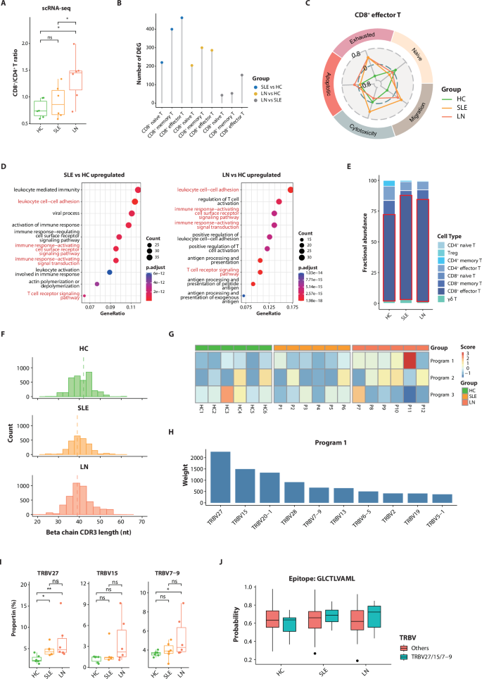 Fig. 3: Increasing CD8+ T cells and TCR clonal preference were shown in LN patients.