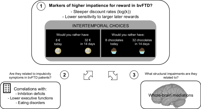 Fig. 1: Study objectives and paradigm description.