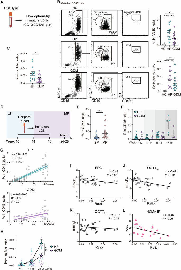 Fig. 5: Decreased circulating immature neutrophils in pregnancies with GDM.