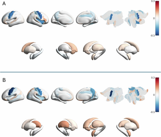 Fig. 4: Elastic net coefficients for predicting age from aperiodic exponents.