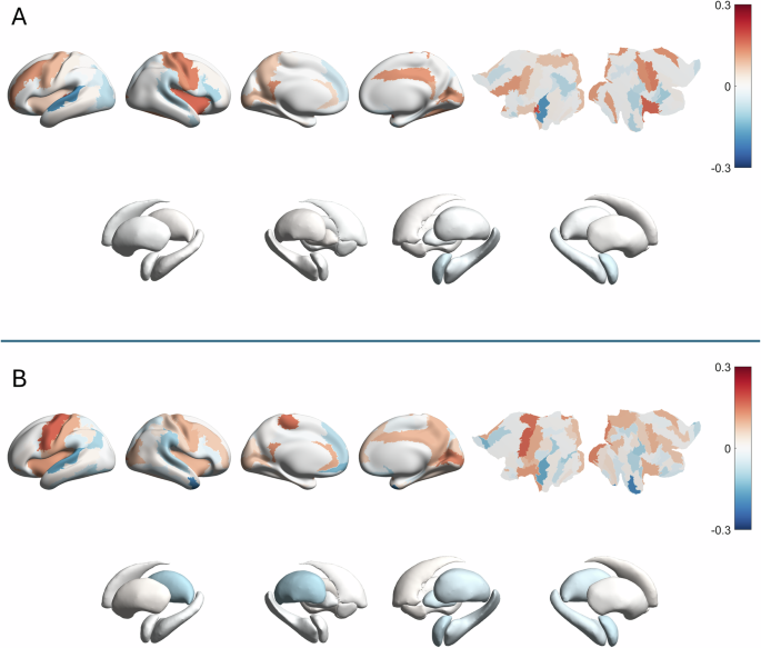 Fig. 5: Elastic net coefficients for predicting age from aperiodic offsets.