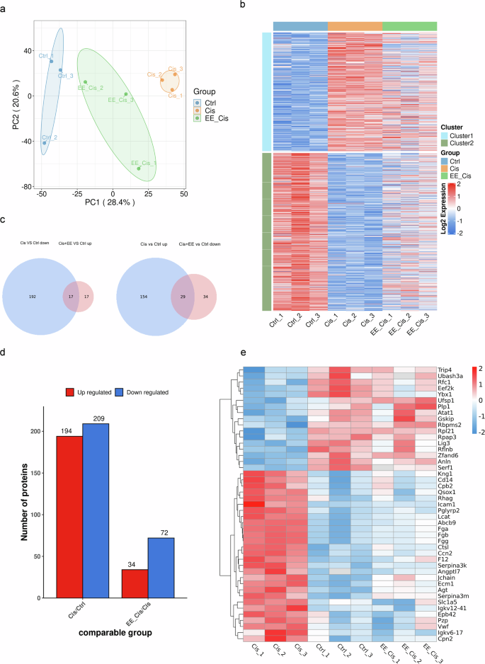 Fig. 4: EE alters the proteomic profile in cisplatin-induced hearing loss in mice.