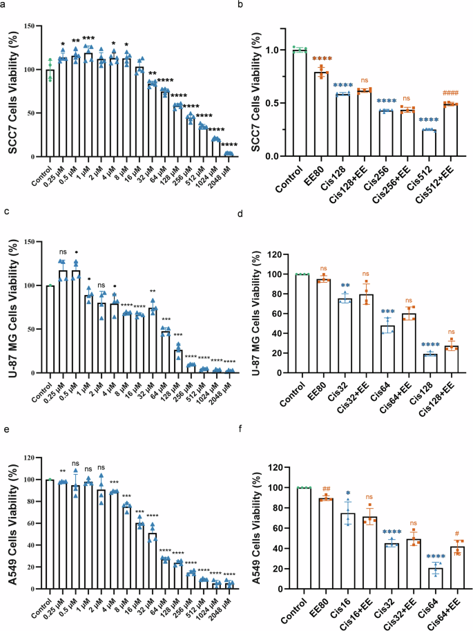 Fig. 9: Moderate intervention of EE did not inhibit the antitumor effects of cisplatin upon treatment in SCC-7, U-87 MG, and A549 cells.