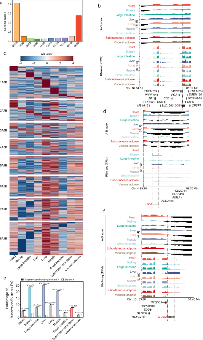 Fig. 3: Compartmentalization switching among the giant panda tissues.