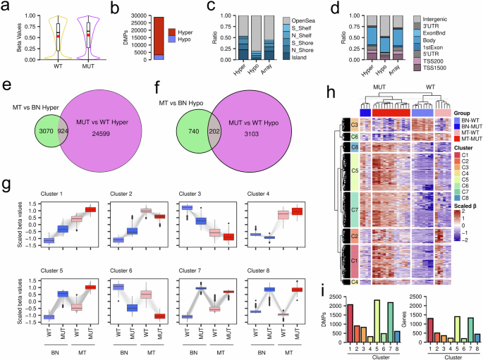 Fig. 3: Integrative methylation analysis reveals shared and distinct epigenetic alterations in metastatic and SDHB-mutant PPGLs.