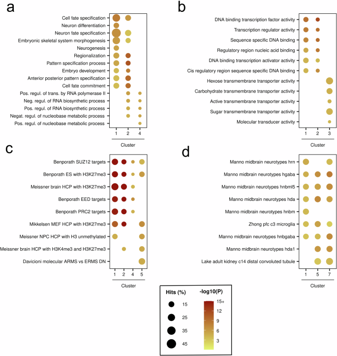 Fig. 4: Functional enrichment analysis reveals cluster-specific biological processes and epigenetic signatures associated with differentially methylated regions in metastatic and SDHB-mutant PPGLs.