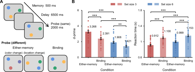 Fig. 1: Procedure and behavioral results.