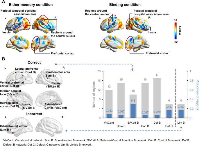 Fig. 2: Univariate BOLD activity and local efficiency analyses.