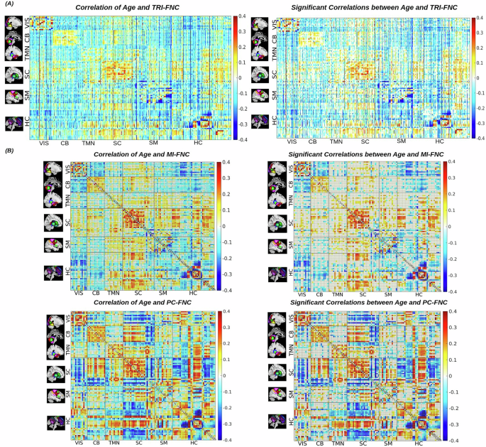 Fig. 2: Triple and pairwise brain network interactions in the infant brain and their associations with age.