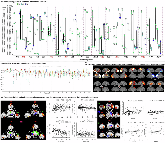 Fig. 4: Decomposed latent triple and pairwise network connectivity subspaces in the infant brain and their associations with age.