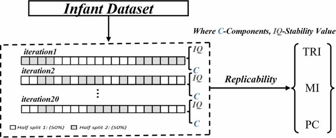 Fig. 6: Pipeline to assess the reliability of the ICA approach.