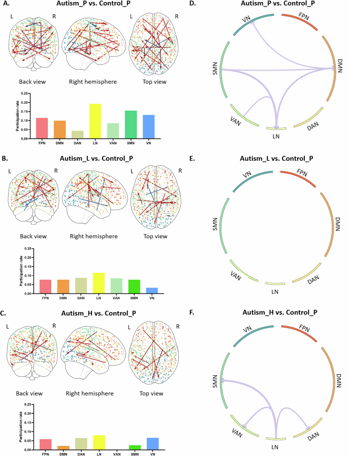 Fig. 4: Discriminative between-network connections between the autism and control groups as measured by theta-beta PAC.