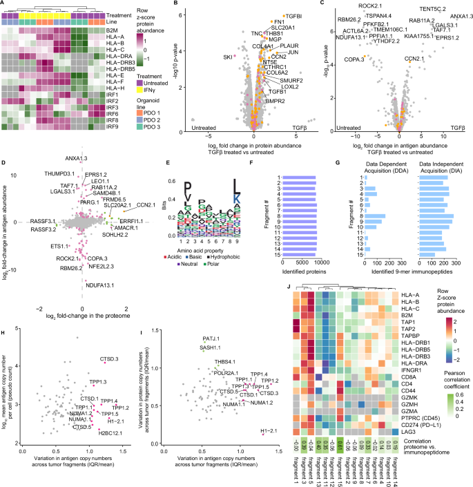 Fig. 2: MHC1-TIP enables multi-omic profiling from cell lines, organoids and primary tissues.