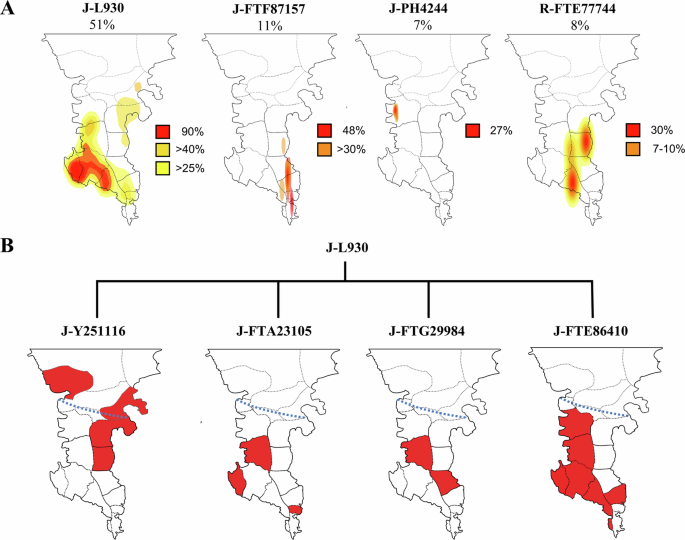 Fig. 4: Frequency and geographical distribution of the principal Deep Maniot Y-DNA haplogroups.