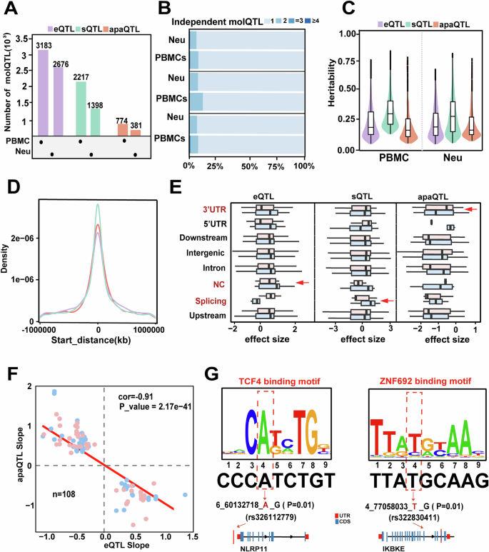 Fig. 3: Characteristics of eQTLs, sQTLs, and apaQTLs in PBMCs and Neu.
