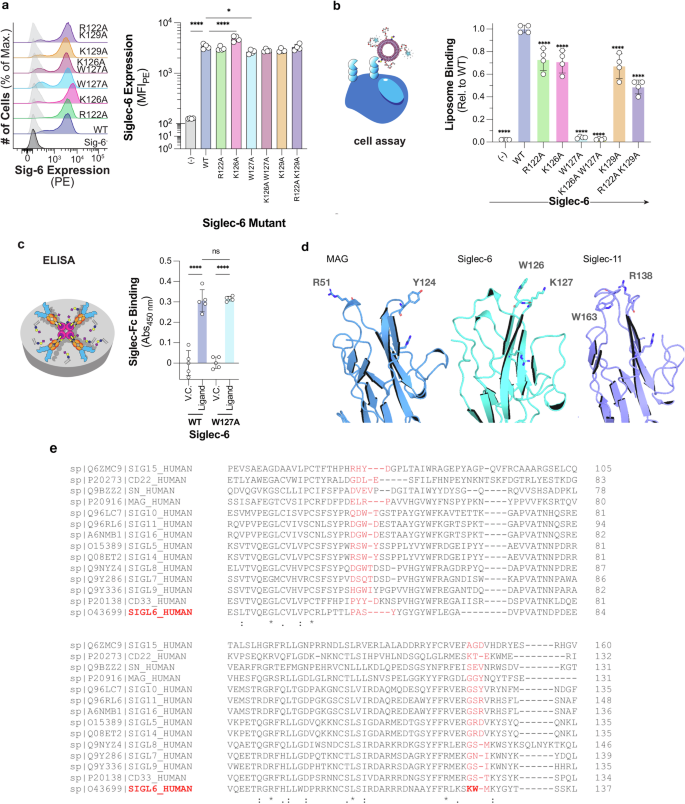Fig. 3: Mutation of key residues W127 and K126, but not of the canonical R122, demonstrates loss of binding to gangliosides in liposomes by flow cytometry.