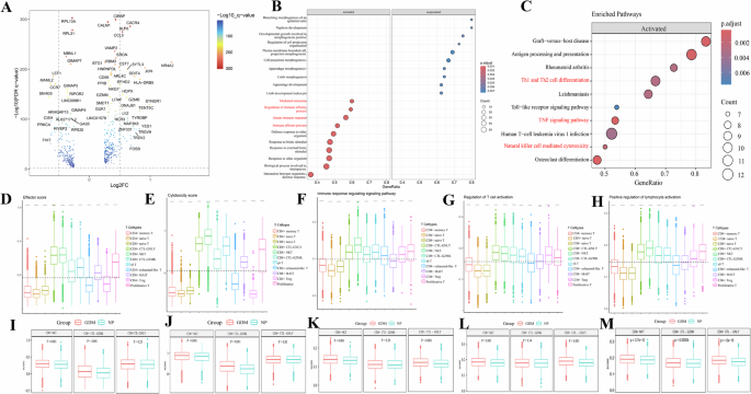 Fig. 3: Differential T cell immune responses between GDM and NP groups.