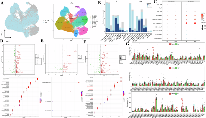 Fig. 5: Characterization of T cell immune repertoires in women with GDM undergoing ART treatment.