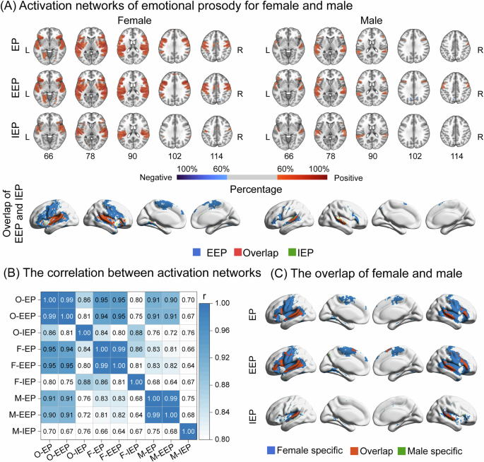 Fig. 2: Gender effects on emotional prosody activation network.