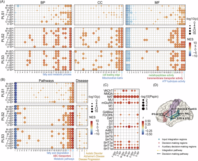 Fig. 4: Receptor/transporter and gene enrichment analysis.