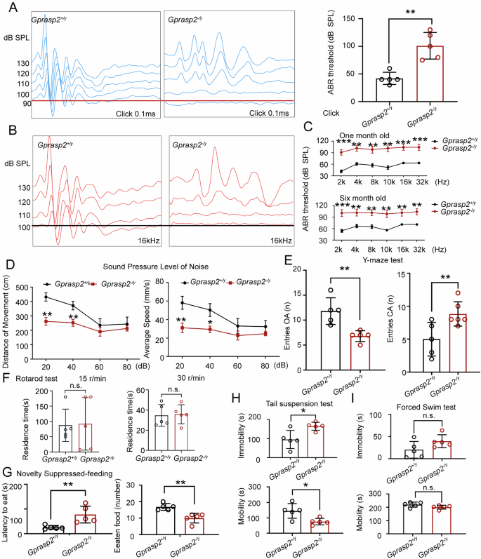 Fig. 1: Effect of Gprasp2-deficient on auditory function and behaviors in mice models.
