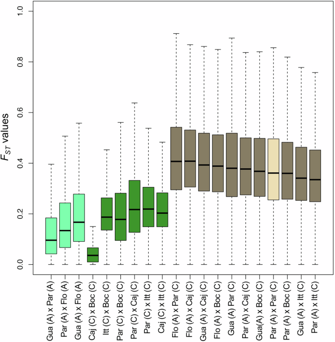 Fig. 3: FST comparisons within and between An. cruzii A and C: intra-, inter-specific, and sympatric × allopatric populations.