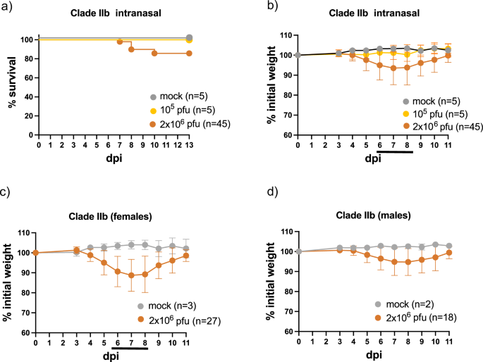 Fig. 2: Virulence of MPXV clade IIb upon intranasal infection.