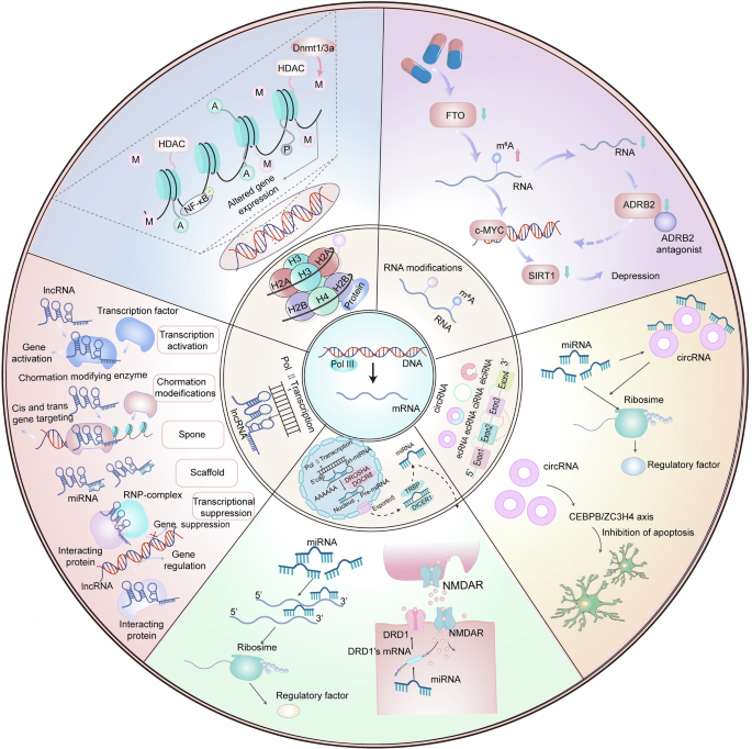 Fig. 5: Epigenetics in depression.