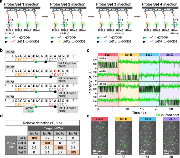 Fig. 2: Multiplexing scheme utilizing probe exchange.
