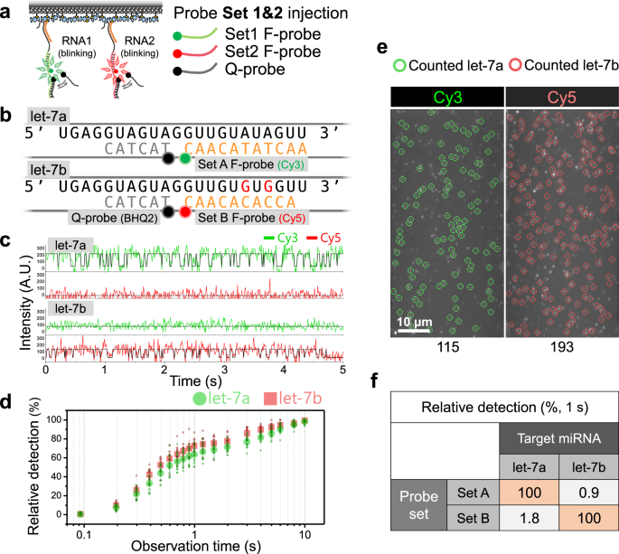Fig. 3: Multiplexing scheme utilizing multi-color imaging.