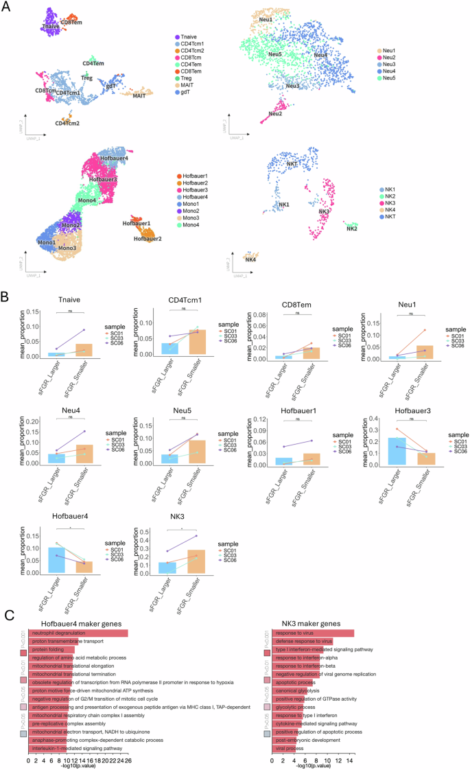 Fig. 5: Single-cell transcriptomic characterization of immune cell heterogeneity and their proportional shifts in sFGR placentas.