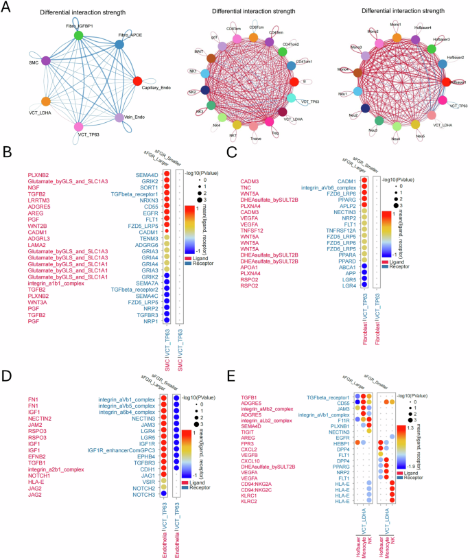 Fig. 6: Differential trophoblast–microenvironment cell–cell communication in sFGR placentas.