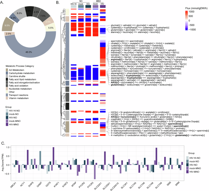 Fig. 3: Changes in metabolic flux induced by HIV-infected microglia.