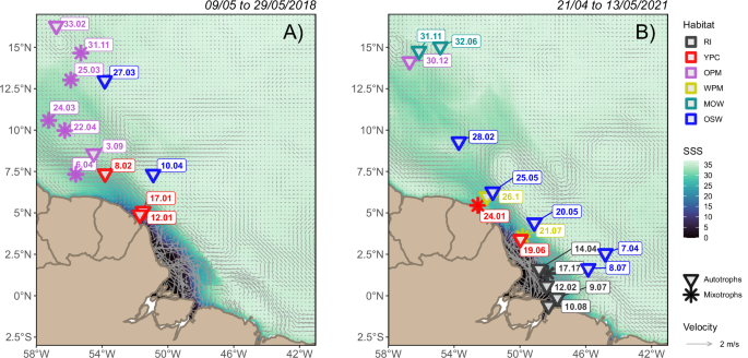 Fig. 2: Map of stations sampled at surface along the Amazon River plume and their dominant trophic position.