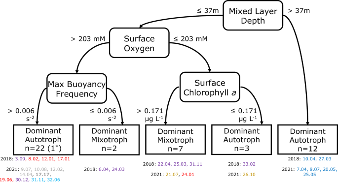 Fig. 5: Predictors of the dominant trophic position in seston at surface along the Amazon River plume.
