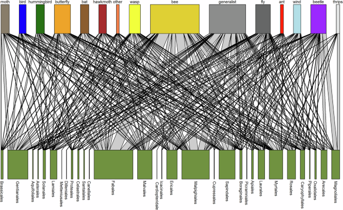 Fig. 2: Pollination network of Amazonian trees.