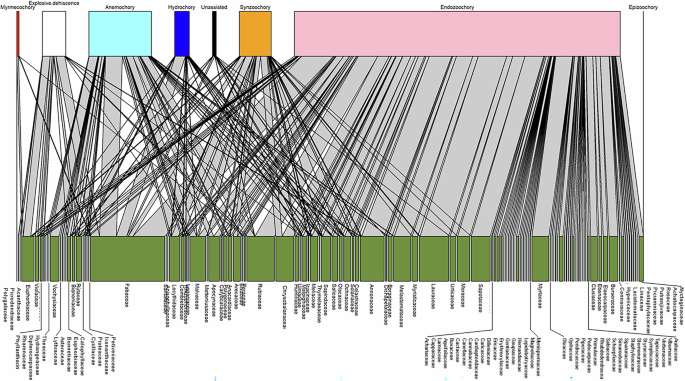 Fig. 6: Network of disperser syndromes of Amazonian tree species by family.